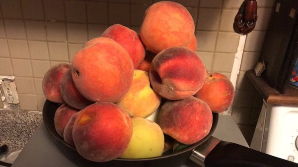 Valley View Farm by null