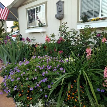 Callaghan The Handyman - Window boxes - Handyman Near Me