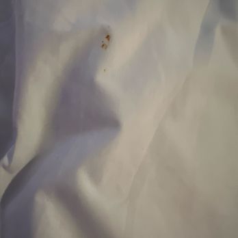 Hotel Gaythering - Dried blood stain on the duvet - Hotels Near Me - Miami Beach, Florida Hotel Gaythering - Dried blood stain on the duvet - Hotels Near Me - Miami Beach, Florida