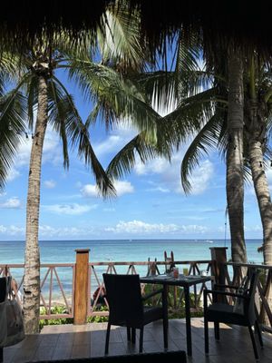 Secrets Aura Cozumel by null