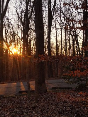 PATAPSCO STATE TIRE PARK - Updated August 2024 - 18 Photos & 14 Reviews