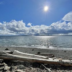 Charles Richey Sr Viewpoint