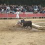 Photo of Arènes taurines
