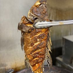 El Golfo Restaurant - Pan fried rockfish