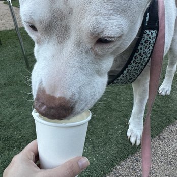 Honeycomb Coffee Co - Coffee & Tea Near Me - Phoenix, Arizona