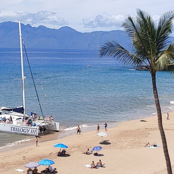 Trilogy Excursions - Trilogy pulled up to Kaanapali shore right next to a shored monk seal that is in distress and roped off by a response team. - Snorkeling Near Me - Lahaina, Hawaii Trilogy Excursions - Trilogy pulled up to Kaanapali shore right next to a shored monk seal that is in distress and roped off by a response team. - Snorkeling Near Me - Lahaina, Hawaii