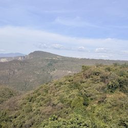 Zoológico