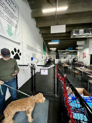 Snouts & Stouts - Dog Bar by null