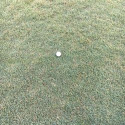 Lakeview Golf Club - Even the rough is smooth