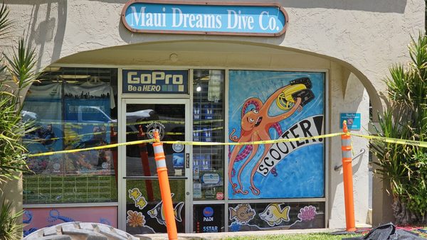 Maui Dreams Dive Co by null