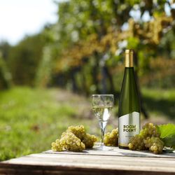 Boom Point Winery