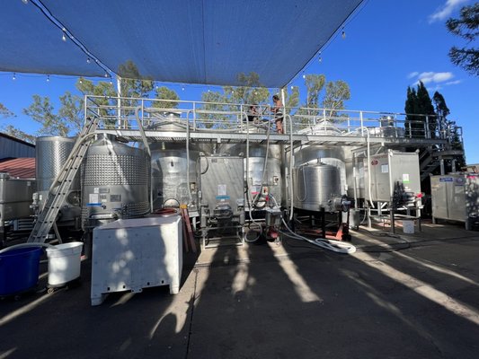 Elyse Winery by null