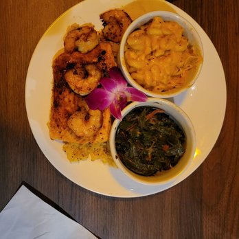 momo's shop❗️ MoMo's Restaurant and Social Lounge - Reviews, Photos