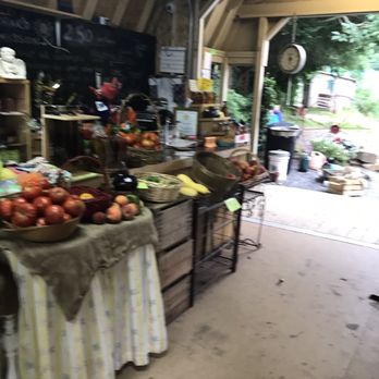 Indian Orchards - Pick Your Own Farms Near Me - Media, Pennsylvania