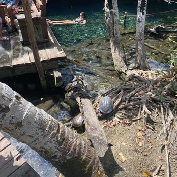 Gran Cenote - Lakes Near Me