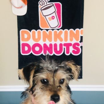 Dunkin' - Dunkin - Donuts Near Me - Hickory, North Carolina Dunkin' - Dunkin - Donuts Near Me - Hickory, North Carolina