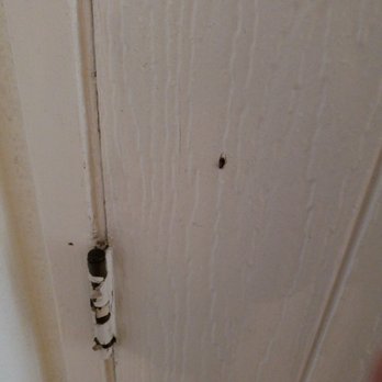 MacArthur Village - Front doors inadequately sealed allow access for roaches to squeeze into interiors, also seen them squeezing out of floor base boards. - Condominiums Near Me - Santa Ana, California