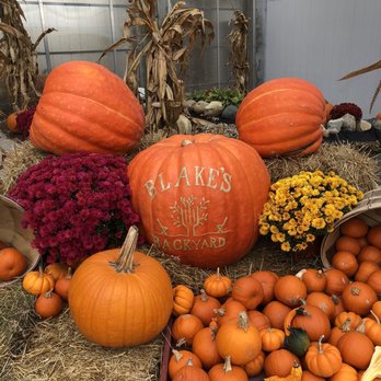 Blake's Backyard - Decorations - Fruits & Veggies Near Me - Almont, Michigan