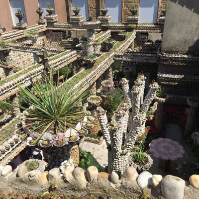 Jardin Rosa Mir by null