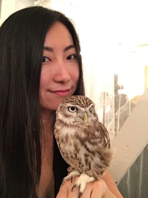 Owl Cafe Tokyo by null