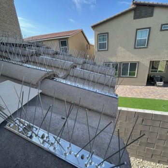 Bingo Window - Bird control - Window Washing Near Me - Las Vegas, Nevada Bingo Window - Bird control - Window Washing Near Me - Las Vegas, Nevada
