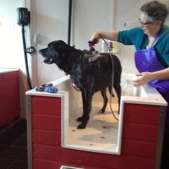 Healthy Pet - Pet Stores Near Me - Freeland, Washington