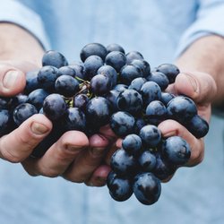 Blue Ridge Wine Tours
