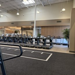 Treadmill row