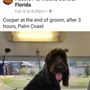 Photo of Aussie Pet Mobile Central Florida