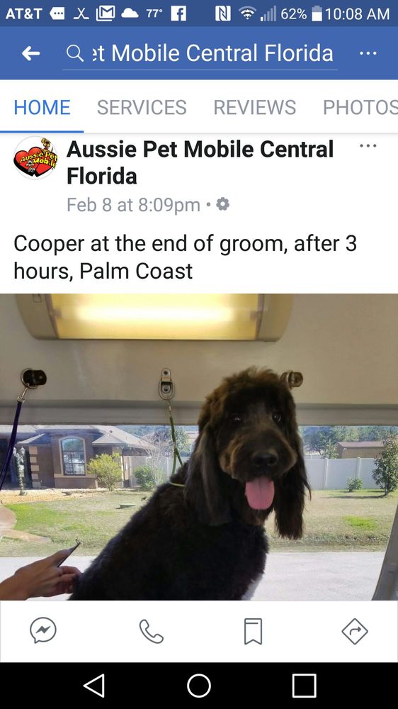 AUSSIE PET MOBILE CENTRAL FLORIDA Updated August 2024 Palm Coast