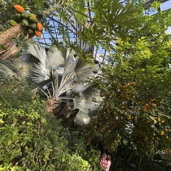 Lincoln Park Conservatory - Parks Near Me - Chicago, Illinois