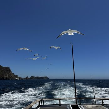 Channel Islands Sportfishing - Fishing Near Me - Oxnard, California Channel Islands Sportfishing - Fishing Near Me - Oxnard, California