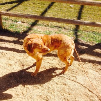 Valmont Dog Park - Dog Parks Near Me - Boulder, Colorado Valmont Dog Park - Dog Parks Near Me - Boulder, Colorado