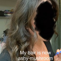 Hairology of Panama City Beach - Their "correction" to turning my hair brassy orange was to cover it with an ashy-mushroom brown