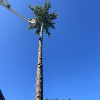 Second 2 None Tree Service - Almost the end of the removal - Tree Services Near Me - Portland, Oregon Second 2 None Tree Service - Almost the end of the removal - Tree Services Near Me - Portland, Oregon