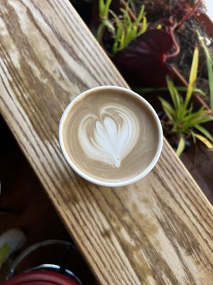 PennyCup Coffee Co. by null