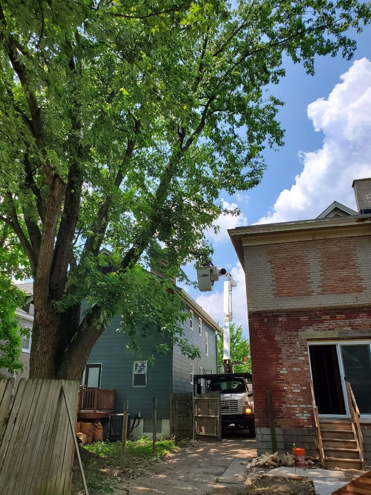 Ohio Pros - tree service in Cincinnati, OH
