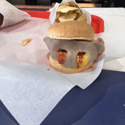 Pig Pig Snoot Sandwich Pig Pig Snoot Sandwich