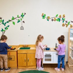 Tulip Kids Academy