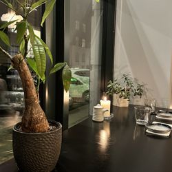 Hatoba - Bar seating