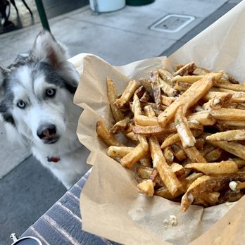 Broderick - My girl eyeing the Garlic fries lol - Burgers Near Me - Walnut Creek, California