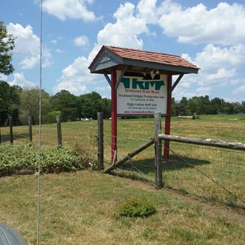 ALABAMA RANDY OWEN'S HOME - Updated December 2025 - 2990 ...