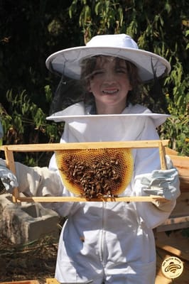 Two Hives Honey by null Two Hives Honey by null