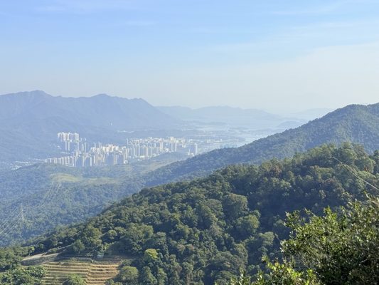 Kadoorie Farm and Botanic Garden by null