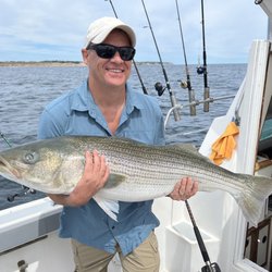 Pale Horse Charters - Striped Bass
