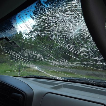 Autoglass Solutions - Auto Glass Services Near Me