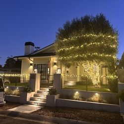 Cheer and Joy Holiday Lights