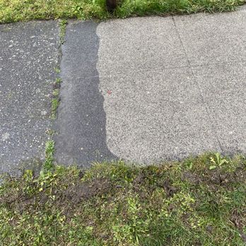 P&E Surfaces - a patch of grass on a sidewalk - Pressure Washers Near Me - Everett, Washington P&E Surfaces - a patch of grass on a sidewalk - Pressure Washers Near Me - Everett, Washington