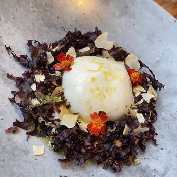 Queensyard - Brooklyn Burrata. Green apple and baby lettuce are in good harmony - Modern European Near Me - New York, New York