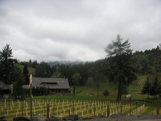 Reustle-Prayer Rock Vineyards by null